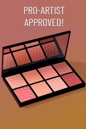Spotlight Blusher Palette X8 pic 8